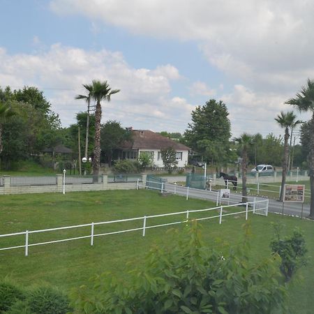 Serbesler Botanik, No 1 Comfortable Villa Sakarya  Luaran gambar