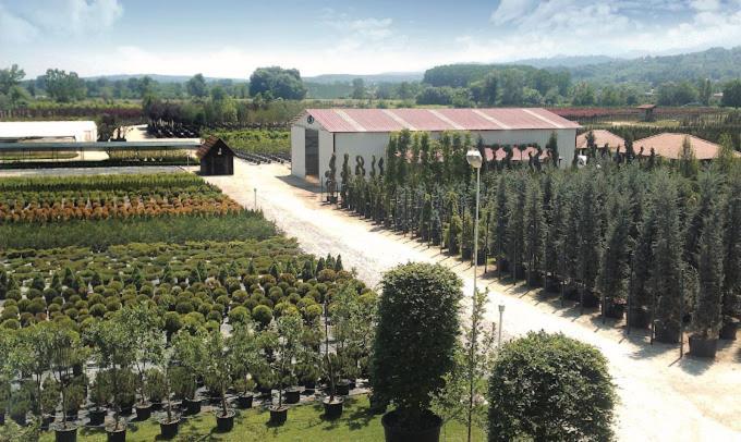 Serbesler Botanik, No 1 Comfortable Villa Sakarya  Luaran gambar