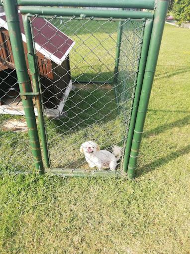Serbesler Botanik, No 1 Comfortable Villa Sakarya  Luaran gambar