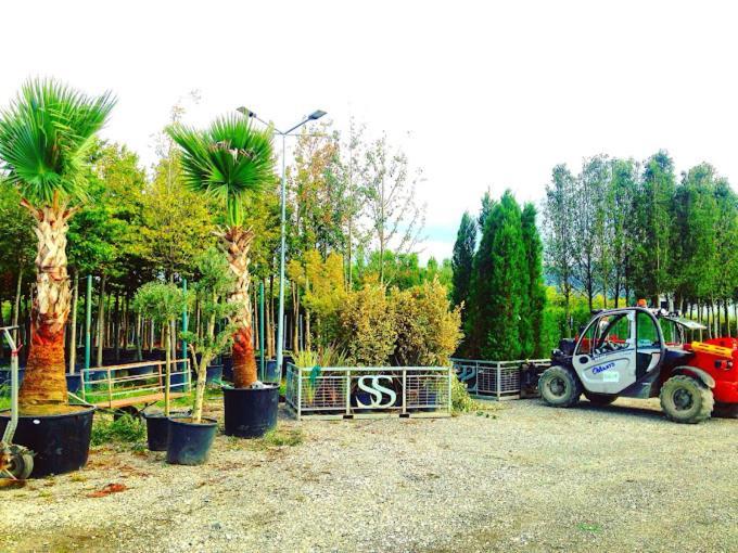 Serbesler Botanik, No 1 Comfortable Villa Sakarya  Luaran gambar